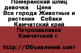 Померанский шпиц девочка  › Цена ­ 50 000 - Все города Животные и растения » Собаки   . Камчатский край,Петропавловск-Камчатский г.